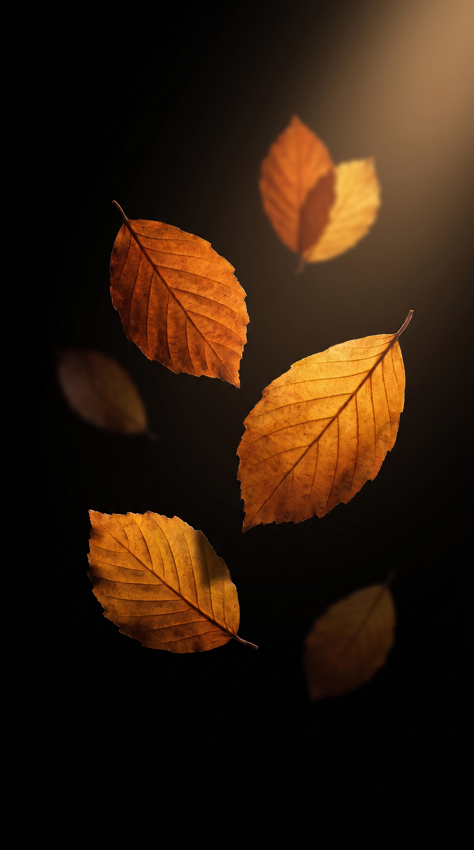 Glowing Autumn Leaves In Darkness 2